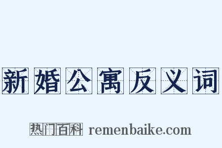 新婚公寓反义词是什么意思的图片